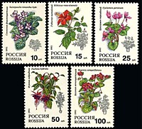 077-081 - Флора. Комнатные растения.