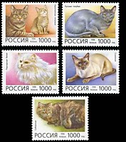 266-270 - Домашние кошки (2)