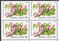5966 - Цветы широколиственных лесов (Сочевичник весенний)