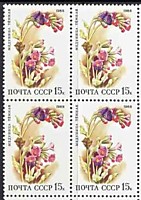 5967 - Цветы широколиственных лесов (Медуница темная)