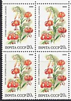 5968 - Цветы широколиственных лесов (Лилия кудреватая)